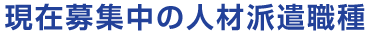 現在募集中の人材派遣職種